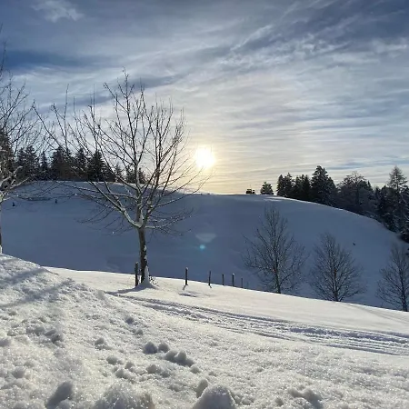 Bergwohnung Mit Balkon - 2 Schlafzimmer, Parkplatz, Direkt An Wanderwegen *